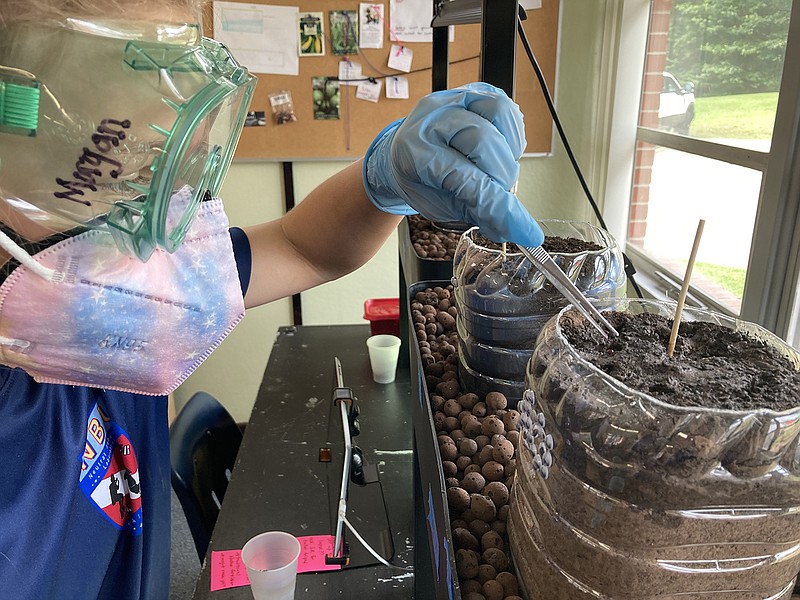 Morgan Yost plants corn seeds in simulated Martian regolith.
