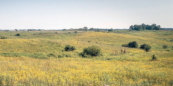 Conservation organizations seek protection of grasslands with establishment of North American Grasslands Conservation Act. 