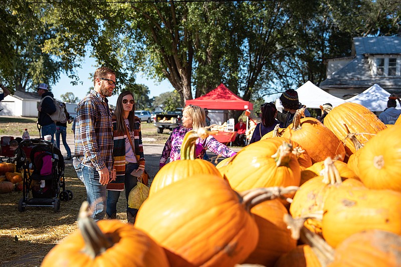 <p>News Tribune file</p><p>While some festival-goers took photos with the piles of pumpkins at the 2019 Hartsburg Pumpkin Festival, others carefully picked through to find the perfect one.</p>