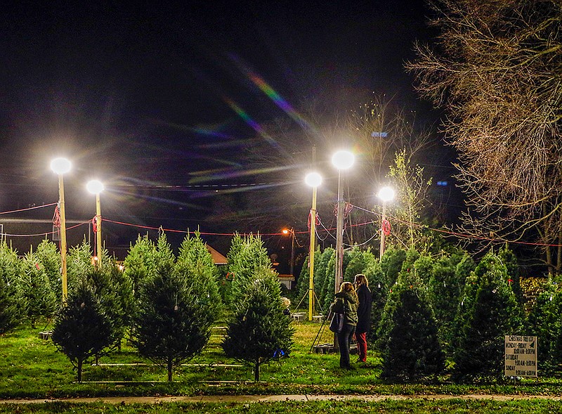 <p>Liv Paggiarino/News Tribune (File)</p><p>People wander through the brightly-lit corridors of trees Nov. 27, 2020, looking for their perfect Christmas tree at the JC Optimist Club’s annual sale. The Optimist Club would like to start the tradition of a magic tree in Jefferson City, where a tree would contain about 24,000 lights.</p>