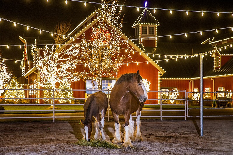 “Holidays with the Clydesdales” will be held at Warm Springs Ranch at Boonville on Thursdays through Sundays, Nov. 26 through Dec. 30.