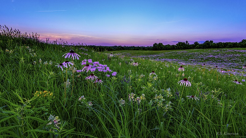 Linden's Prairie near Mt. Vernon, MO is an example of the Missouri Prairie Foundation's 29 prairie preserves totaling more than 4,100 acres. MPF officials said protecting these original prairies is critically important to safeguard habitat of many prairie-dependent plants and insects that live on them.