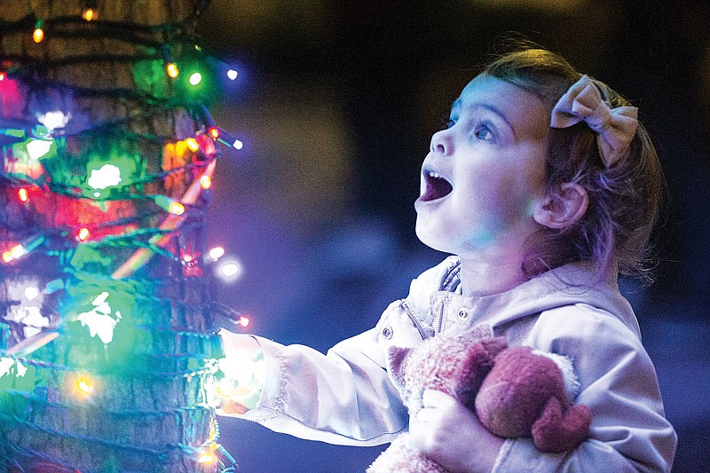 Grace Haslag marvels at Jefferson City's first magic tree on Saturday, Nov. 27, 2021, at Hawthorn Bank. The Optimist Club and Old Munichberg Association teamed up to bring the Magic Tree to Jefferson City this year. (Ethan Weston/News Tribune photo)