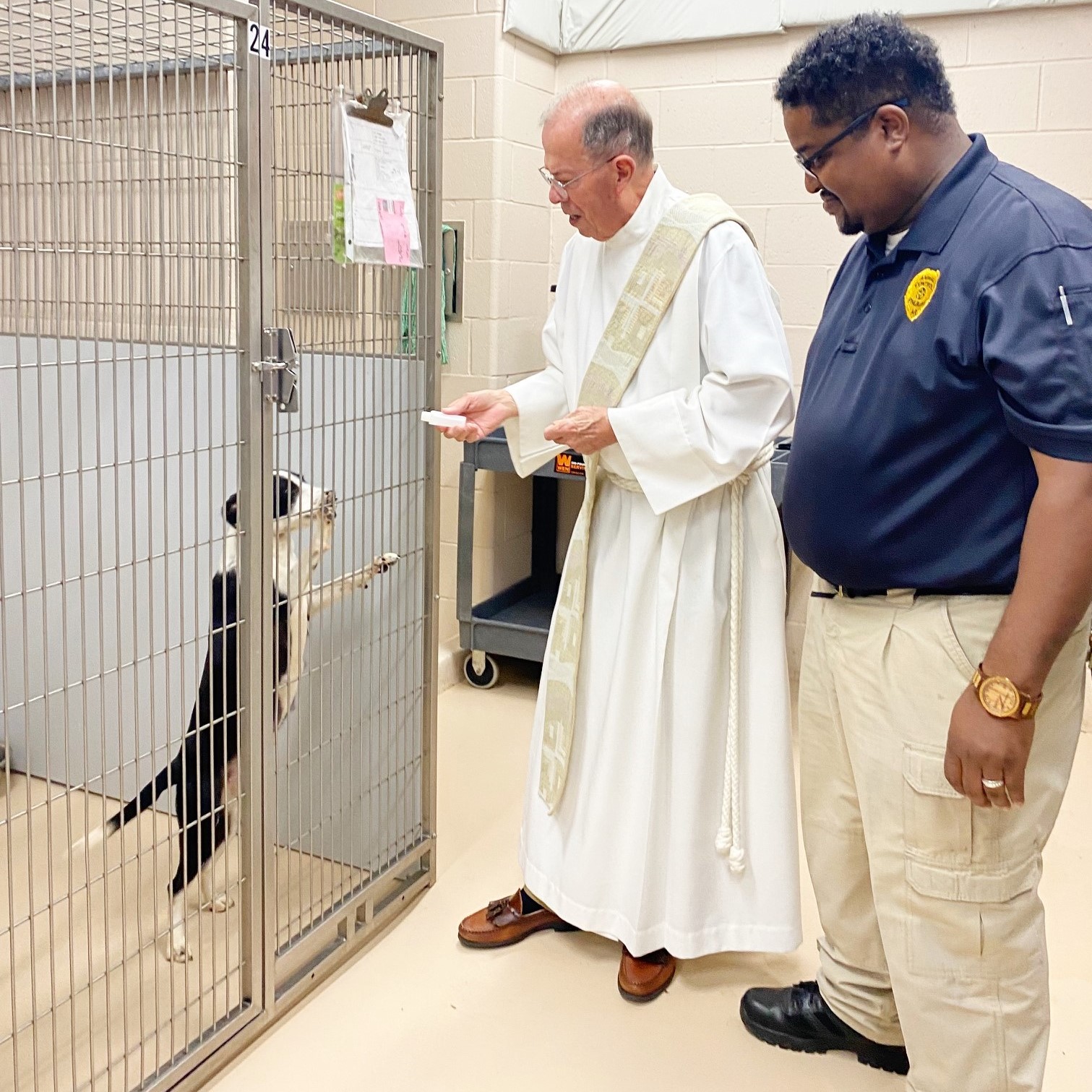 Catholic Daughters bless animals - Vimarsana News
