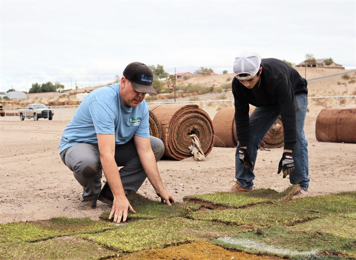 Sod used for bowl game donated for Fort Mohave field - Vimarsana News