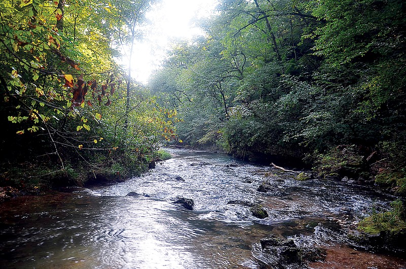 Missouri’s Mark Twain National Forest offers 1.5 million acres for recreation. (Contributed photo)