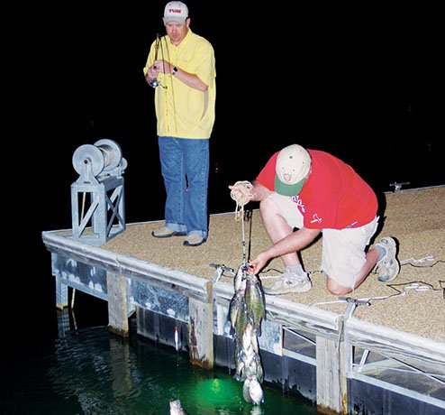 Freshwater: Summertime Eyes At Night - The Fisherman