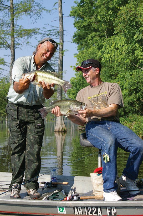 Fishing Cypress Trees for Spring Bass - Wired2Fish