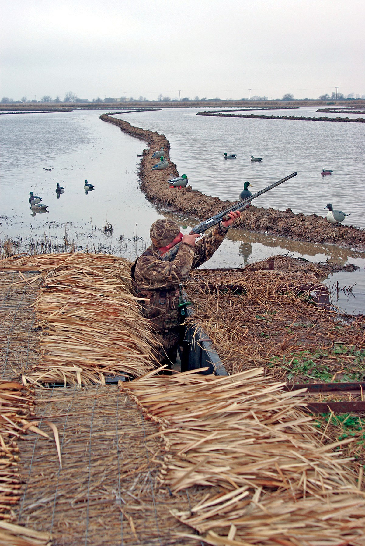 003-t_web_t1200.jpg?