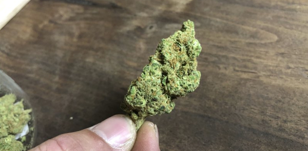 First medical marijuana sold in Arkansas
