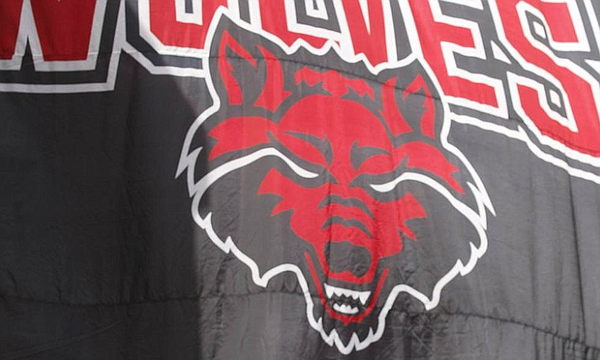 White Wolf : Red Wolves name for Washington's NFL team could help