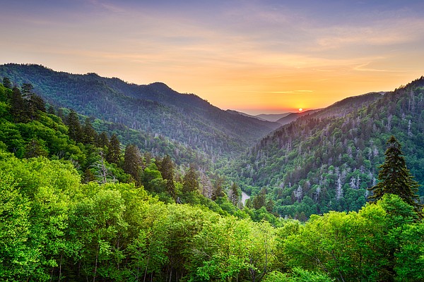 Roamstead opens its first campground in the Smokies and other business news - Vimarsana News