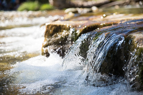 Dickson County utility settles suit over sewage pollution | Chattanooga Times Free Press - Vimarsana News