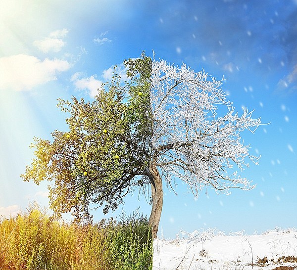 Opinion: 3 seasons in 24 hours stump climate change deniers ...