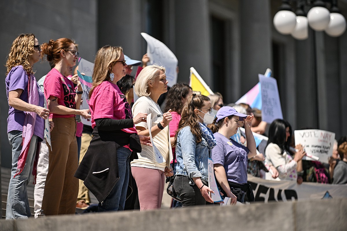 Activist coalition rallies at state Capitol | The Arkansas Democrat ...