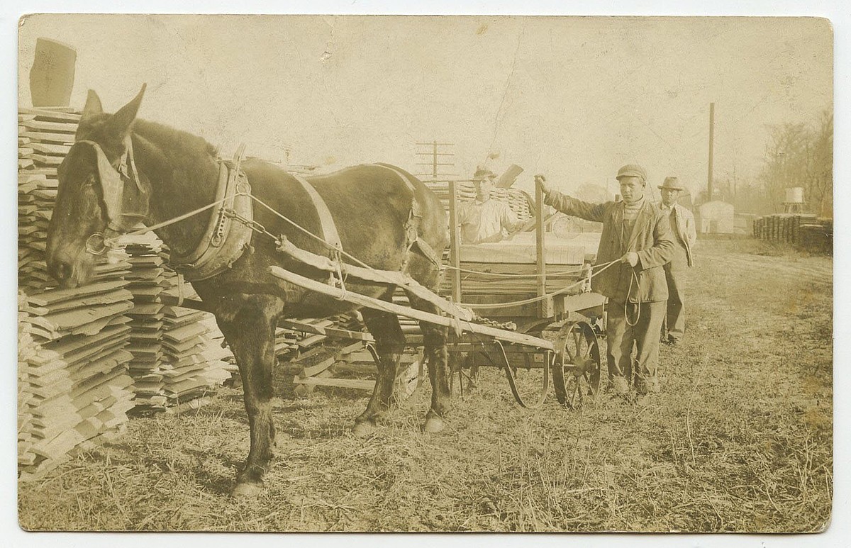 Arkansas Postcard Past: Corning, circa 1910
