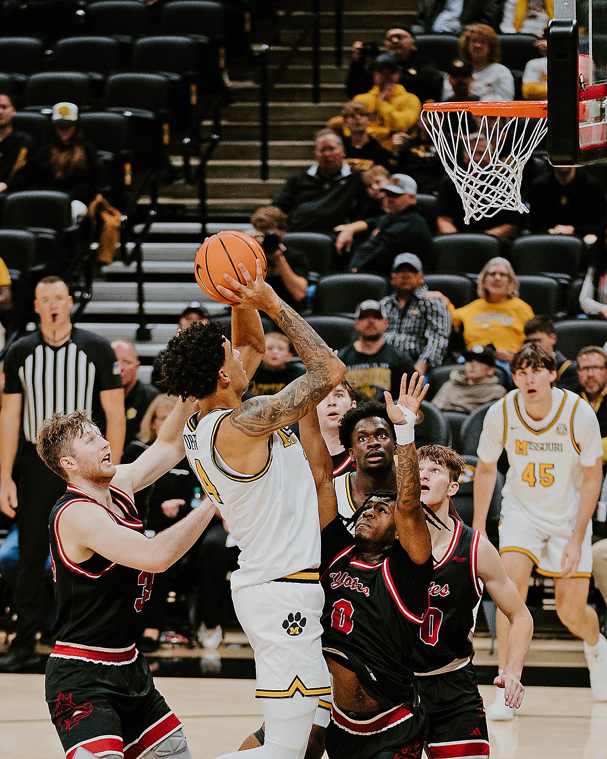 Missouri men's basketball continues hot start with 102-68 win vs. South Dakota