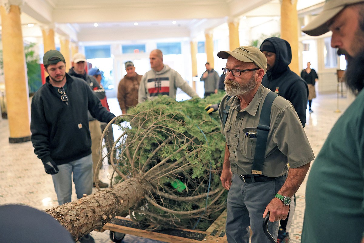 Capital Hotel’s annual Christmas tree raising is a labor of love — with ...