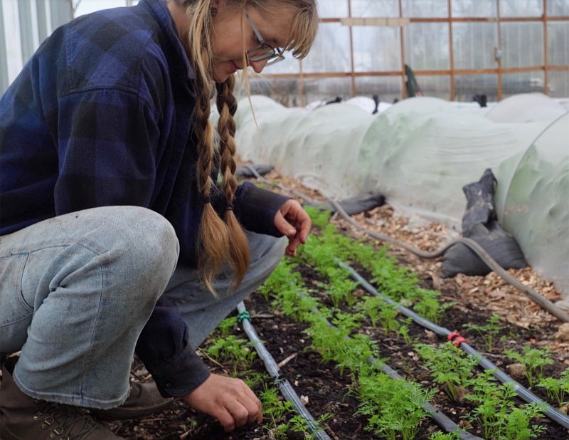 Northwest Arkansas farms focus on charity