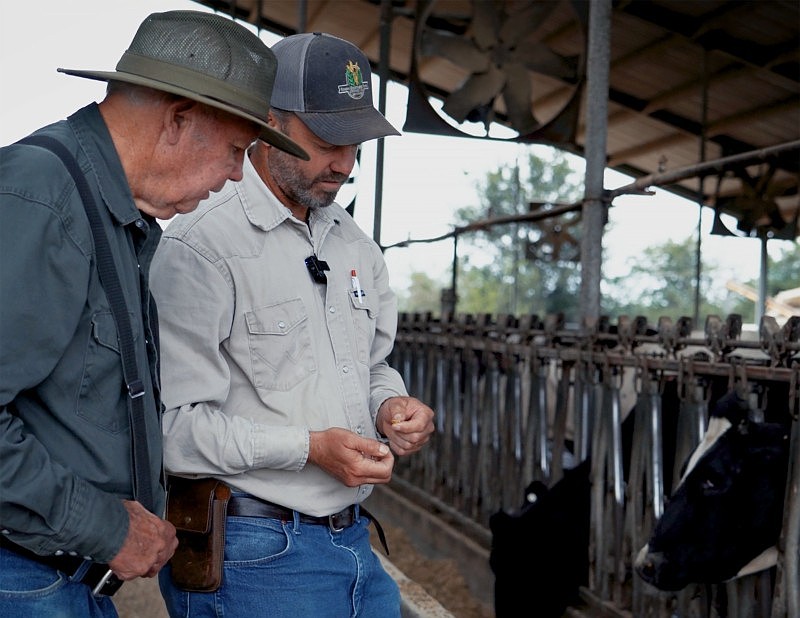 A season in the life of Arkansas farmers: Raising dairy cattle and growing vegetables