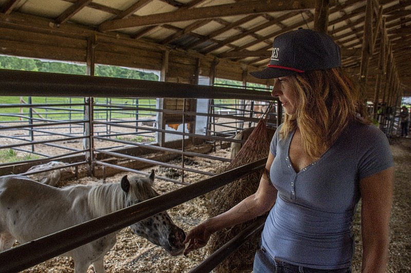 Inside Moon Mountain Rescue: Dawn Olivieri, Gaston Gibson and the Arkansas sanctuary saving mustangs
