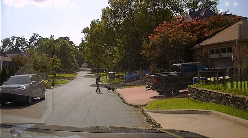 Experts on law enforcement, dog training weigh in on video of Little Rock officer fatally shooting dog in Heights neighborhood