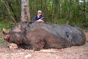 Jamison Stone, 11, poses with a wild pig he killed near Delta, Ala., in May. Stone's father says the hog weighed  1,051 pounds and measured 9-feet-4 from the tip of its snout to the base of its tail. If claims of the animal's size are true, it would be larger than Hogzilla, the huge hog killed in Georgia in 2004