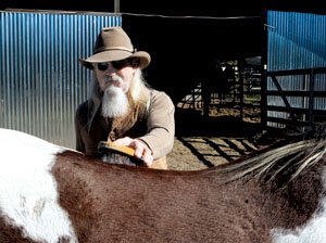 Jerry Waddle brushes Cat, a mare that was among a group of horses saved from starvation by the Rescue Wranglers.
