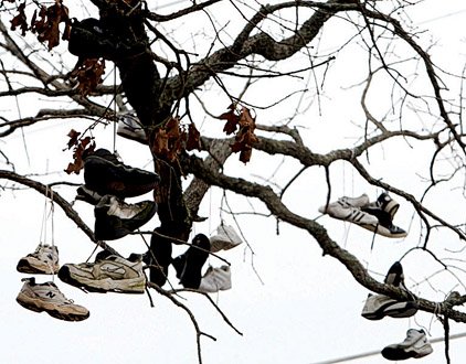 Old and new shoes have been tossed onto the shoe tree at the corner of North Sardis and Hogue roads in Saline County.