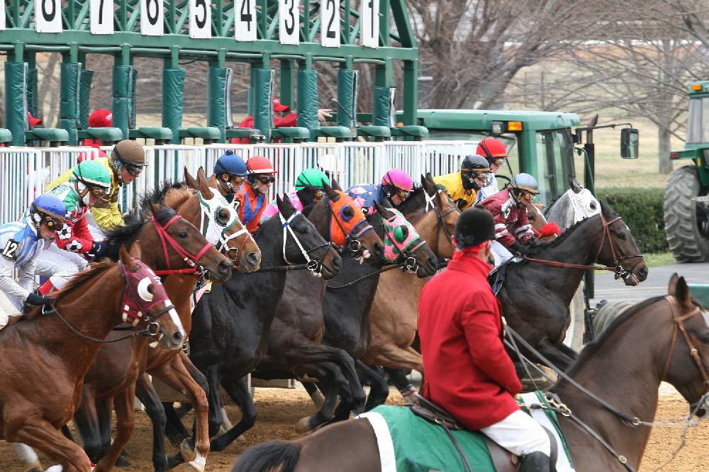 Opening Day of horse racing at Oak Lawn Park in Hot Springs.