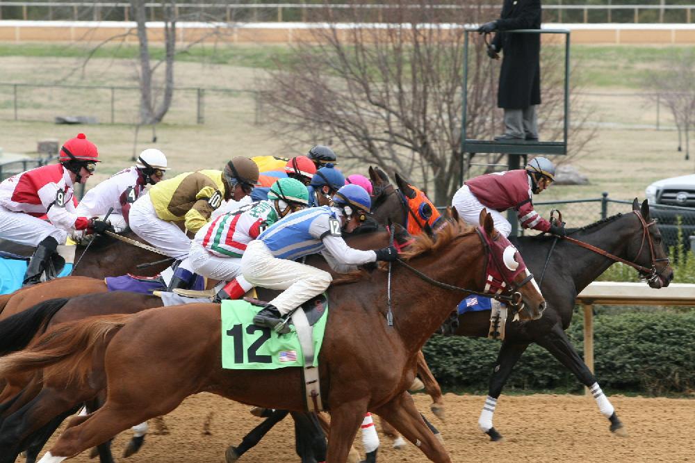 Opening Day of horse racing at Oak Lawn Park in Hot Springs.