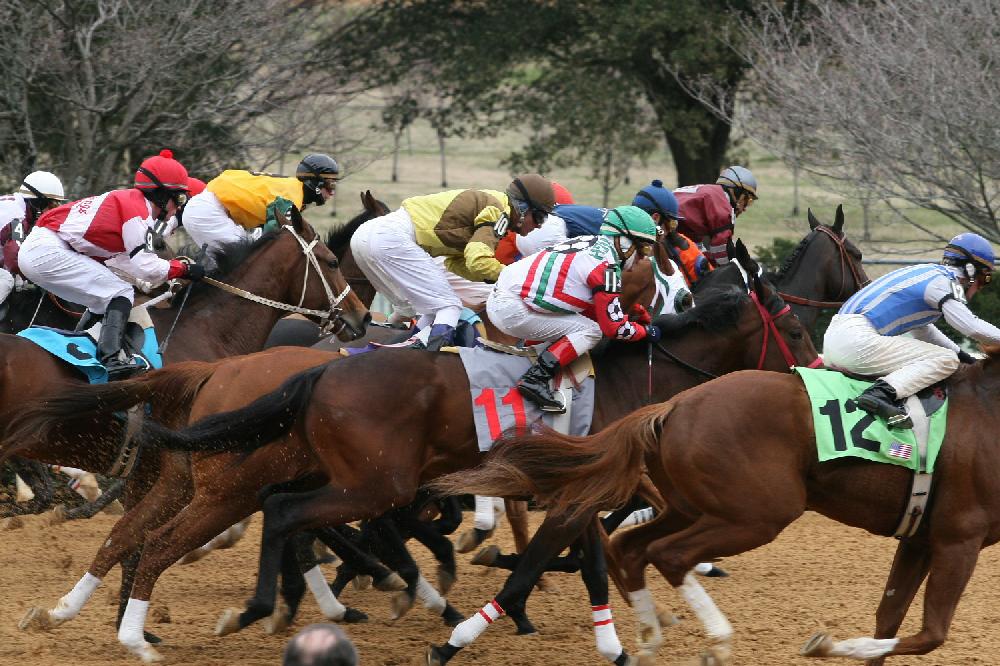 Opening Day of horse racing at Oak Lawn Park in Hot Springs.