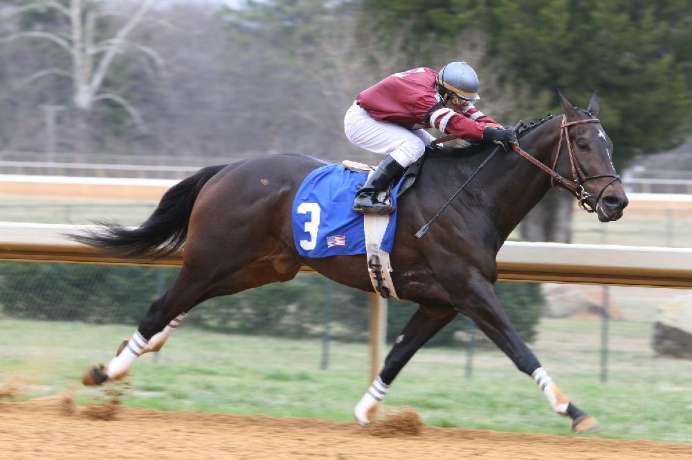 Opening Day of horse racing at Oak Lawn Park in Hot Springs.
