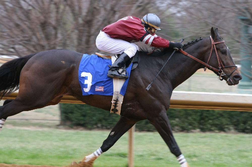Opening Day of horse racing at Oak Lawn Park in Hot Springs.