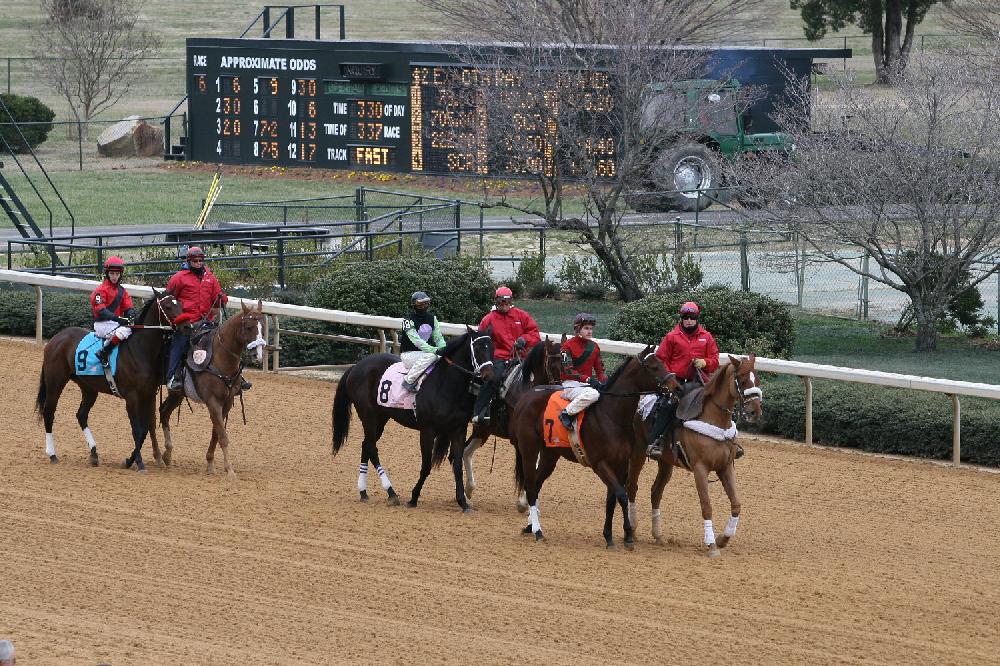 Opening Day of horse racing at Oak Lawn Park in Hot Springs.