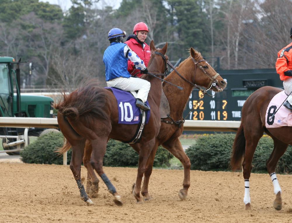 Opening Day of horse racing at Oak Lawn Park in Hot Springs.