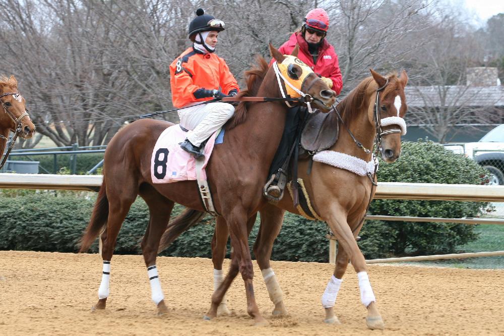 Opening Day of horse racing at Oak Lawn Park in Hot Springs.