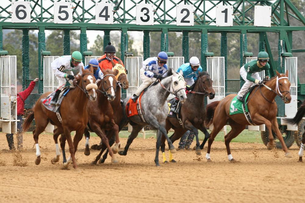 Opening Day of horse racing at Oak Lawn Park in Hot Springs.