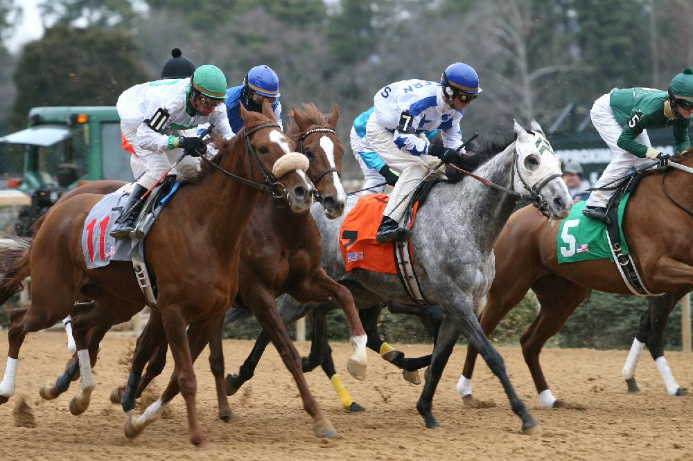 Opening Day of horse racing at Oak Lawn Park in Hot Springs.