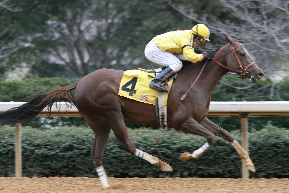 Opening Day of horse racing at Oak Lawn Park in Hot Springs.