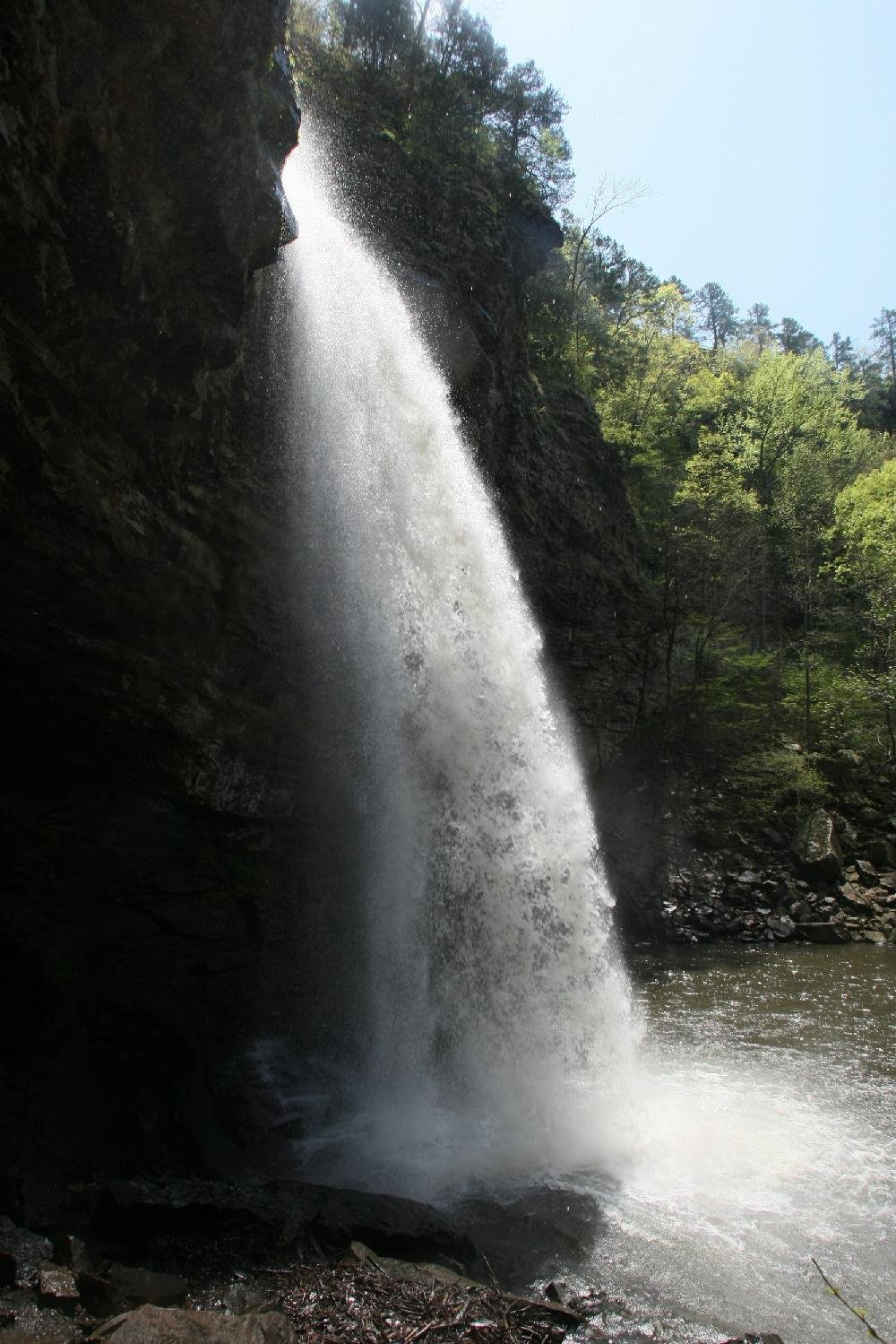 Cedar Falls Trail