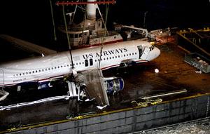 洋楽 BLAHRMY A REPORT OF THE BIRDSTRIKE dlip FAA makes public its airplane-bird strike data | The Arkansas
