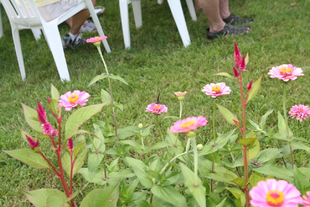 The sundressed and sun-drenched met at Washington Countys Headquarters House for the 39th year for the ice cream social.