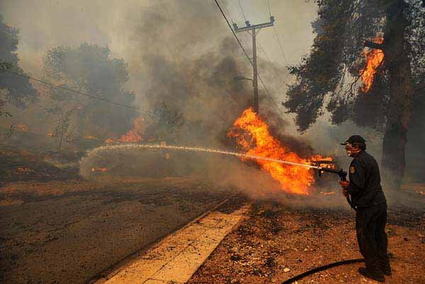 A firefighter sprays a burning tree as a car burns near Agios Stephanos, a suburb north of Athens, Greece, on Sunday.