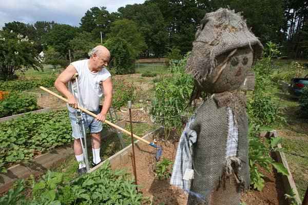 Nelson weeds his garden box inside the Oak Forest Community Garden at 25th and South Monroe streets in Little Rock on Sunday.