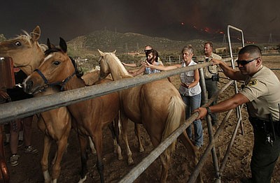 Los Angeles County Sheriff deputies and residents help evacuate horses as the Station fire burns in the hills above Acton, Calif. on Sunday