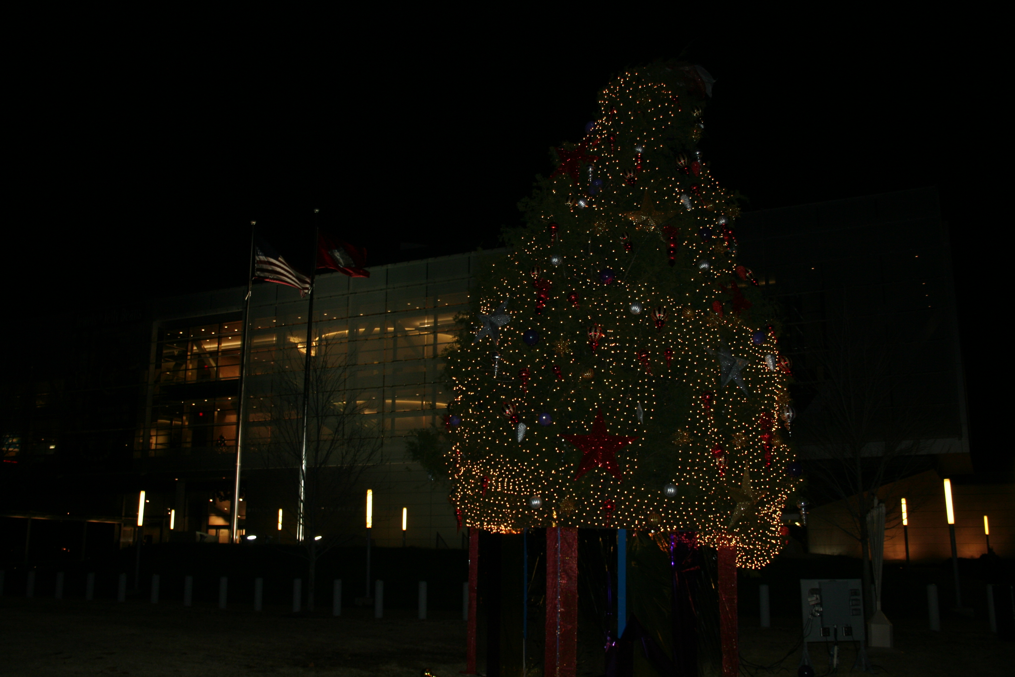 The tree outside the Clinton Library.
