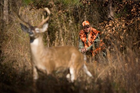 A decoy deer tempts illegal deer hunters in Southwest Arkansas. Hidden nearby in the woods was Arkansas Game & Fish Commission Wildlife Sgt. Mark Kennemore, waiting for a chance to catch an illegal hunter.