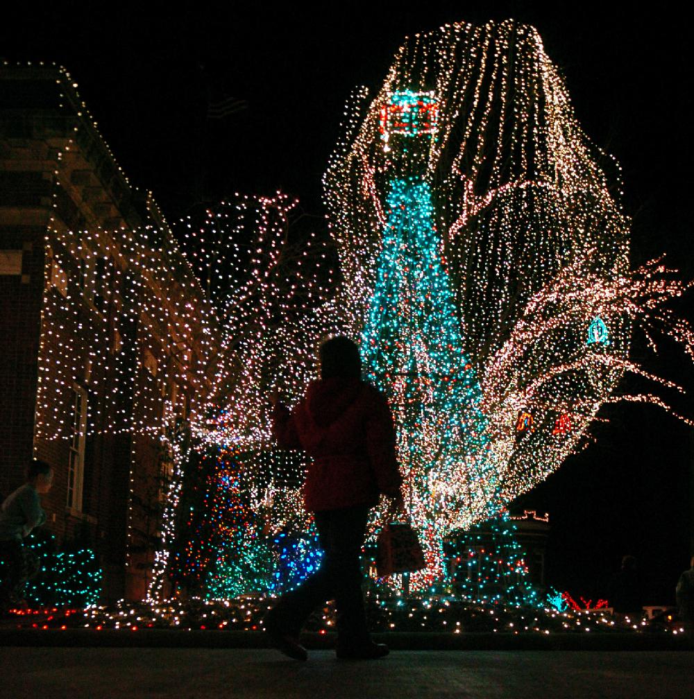 Arkansas Democrat-GazetteMICHAEL WOODS -- 121709 --A person walks past the lights of the Ozarks Display on the Fayetteville square Thursday evening