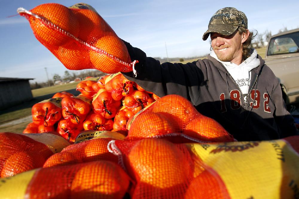 Arkansas Democrat-Gazette JASON IVESTER --122109--Eric Vaughn of Bentonville loads bags of oranges onto his roadside table for sale Monday alongside N. Thompson Street in Bethel Heights. Vaughn has one of about 10 roadside stands through Northwest Arkansas and Southeast Missouri selling the south Texas oranges for White's Produce.